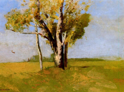 Trees in study