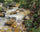 Trout Stream in the Tyrol in study