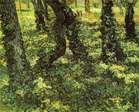 Trunks of Trees with Ivy by Vincent van Gogh — hand-painted botanical oil painting reproduction on canvas