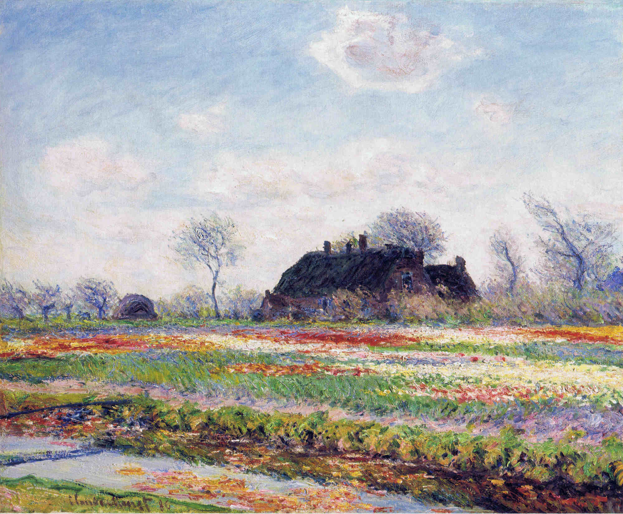 Tulip Fields at Sassenheim, near Leiden - Claude Monet