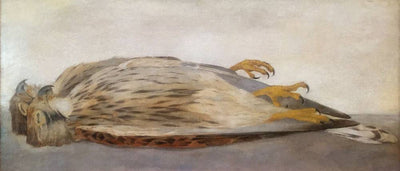 Two Dead Kestrels