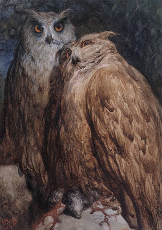 Two Owls - Gustave Dore