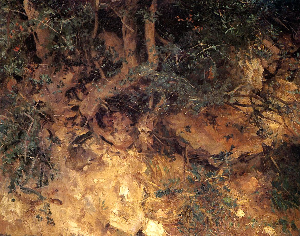 Valdemosa, Majorca Thistles and Herbage on a Hillside - John Singer Sargent