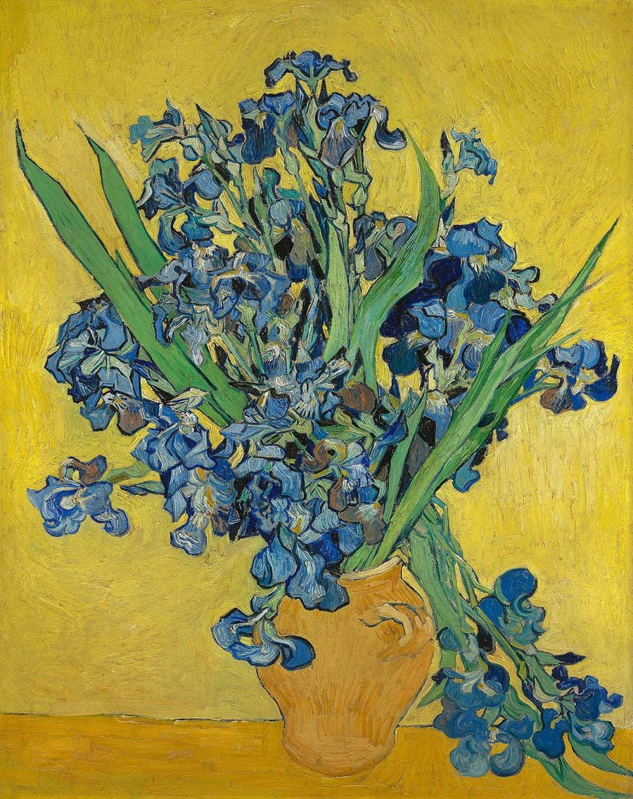 Vincent van Gogh, Irises, 1890, the original