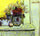 Vase with Anemonies and Empty Vase in dining room