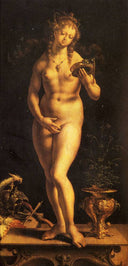Venus and the Mirror by Mabuse, female oil painting wall art, Northern Renaissance