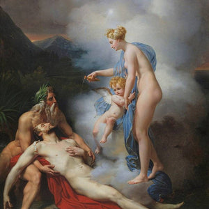 Venus heals Eneas