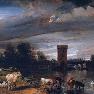 View in Tabley Park