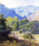 View in the San Gabriel Mountains by Guy Rose — hand-painted botanical oil painting reproduction on canvas