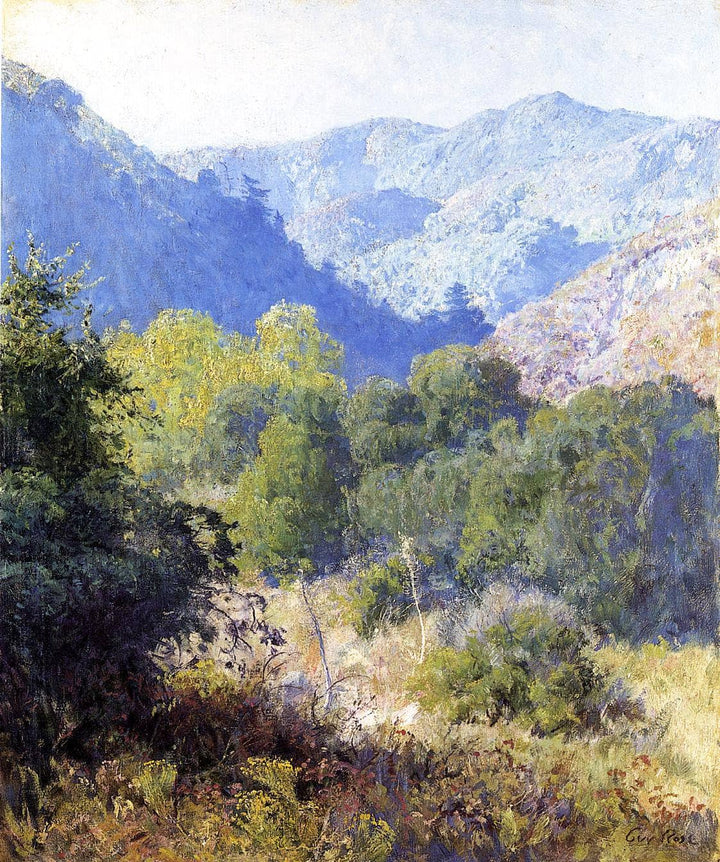 View in the San Gabriel Mountains by Guy Rose — hand-painted botanical oil painting reproduction on canvas