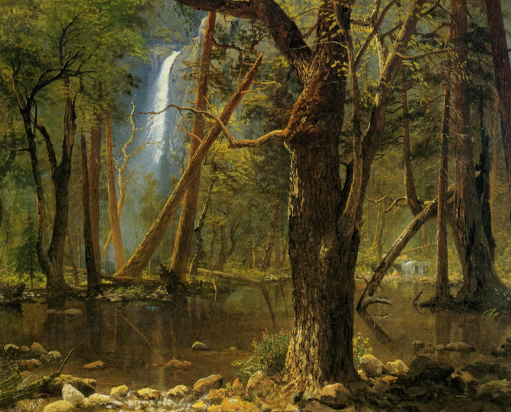 View in Yosemite Valley by Albert Bierstadt — hand-painted botanical oil painting reproduction on canvas