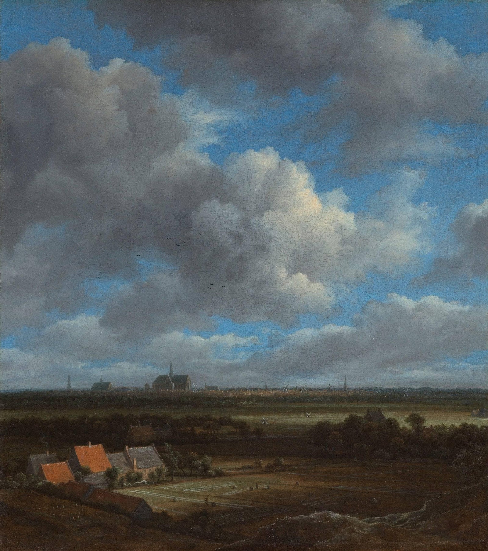 View of Haarlem with bleaching fields in the foreground
