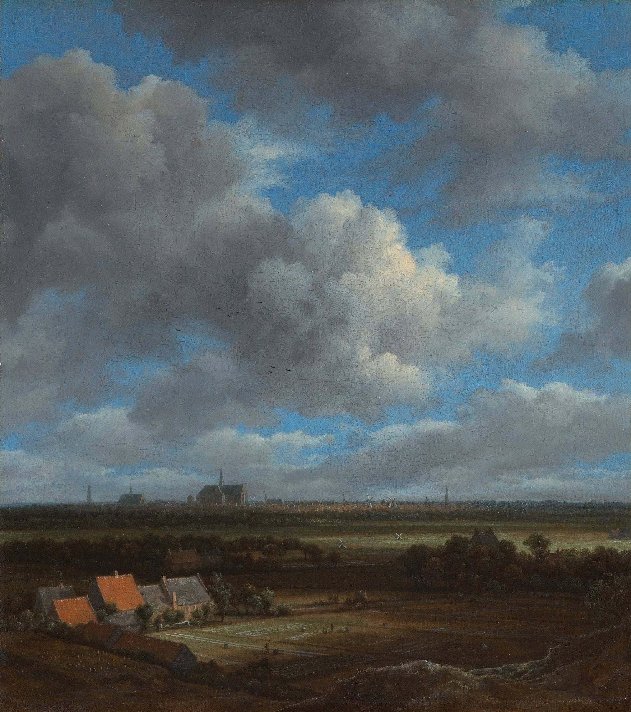 View of Haarlem with bleaching fields in the foreground - Jacob van Ruisdael