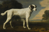 Viscount Gormanston's White Dog by George Stubbs — hand-painted animal oil painting reproduction on canvas