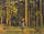 Walking at the forest edge in home office