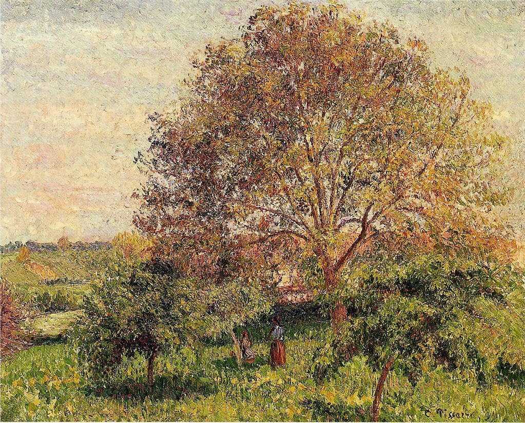 Walnut Tree in Spring by Camille Pissarro — hand-painted botanical oil painting reproduction on canvas