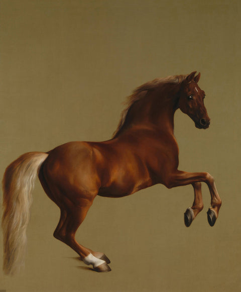 Whistlejacket by George Stubbs — hand-painted oil reproduction