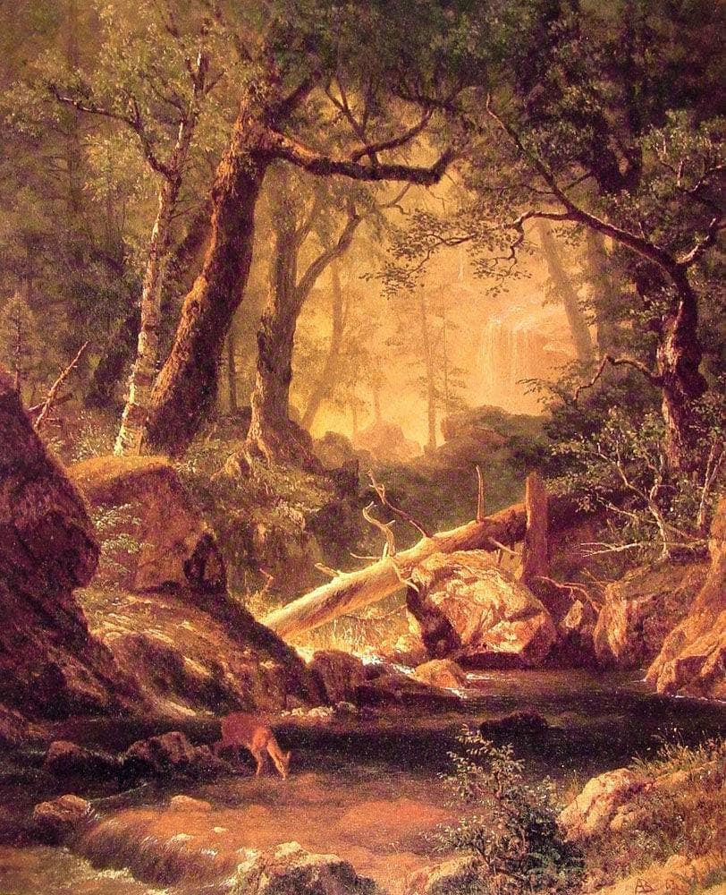 White Mountains, New Hampshire by Albert Bierstadt — hand-painted botanical oil painting reproduction on canvas
