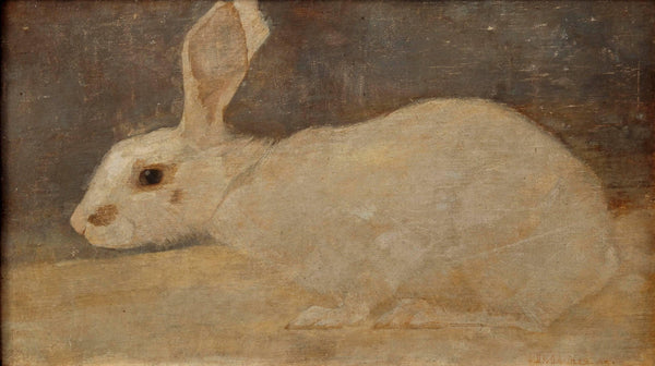White Rabbit