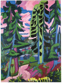 Wildboden Mountains Forest