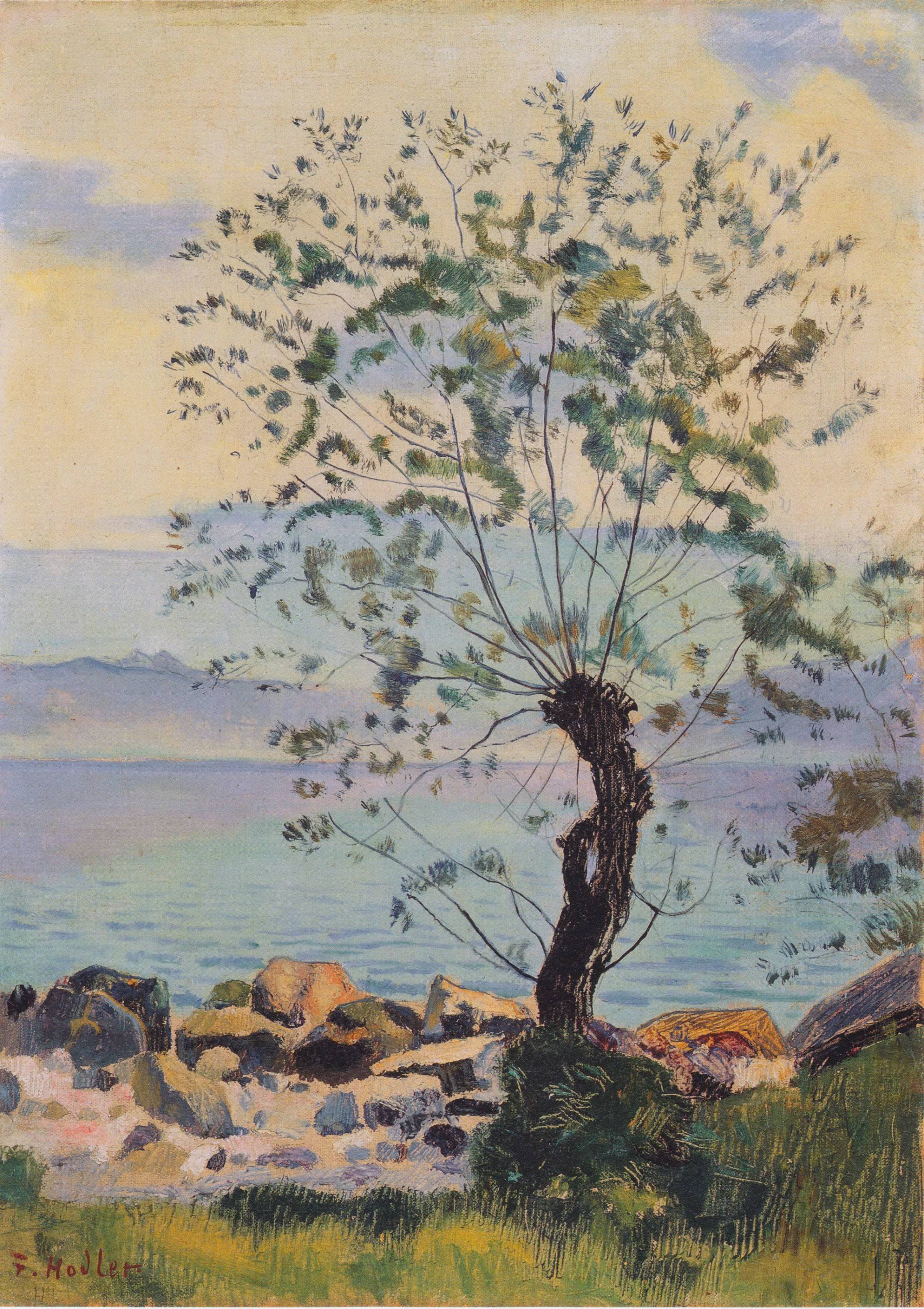 Willow tree by the lake - Ferdinand Hodler