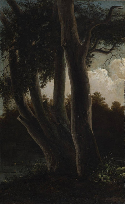 Willows by the river by Gabriele Smargiassi — oil painting reproduction