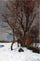 Winter Landscape with Stream in kitchen