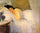 Woman Awakening in study