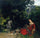 Woman with Garland in entryway