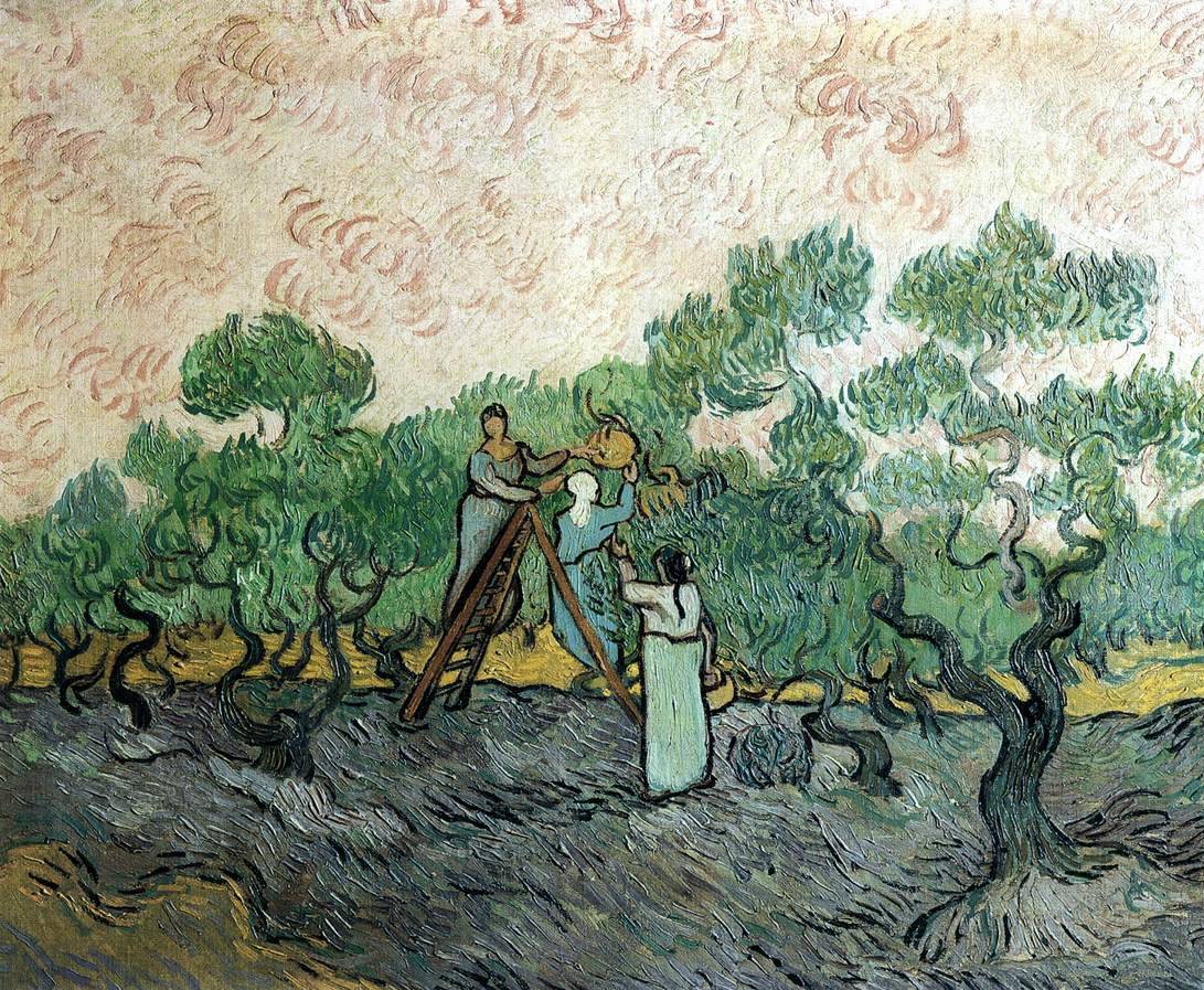 Women Picking Olives - Vincent van Gogh