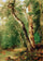 Woodland Interior in entryway
