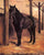 Yerres, Dark Bay Horse in the Stable in kitchen