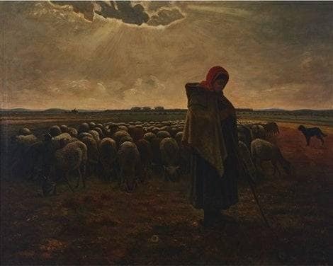 Young herder with flock
