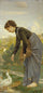 Young woman feeding the ducks in modern living room