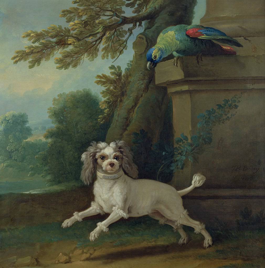 Zaza, the dog - Jean-Baptiste Oudry