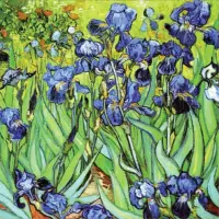 Irises<br> <i>Vincent Van Gogh</i>